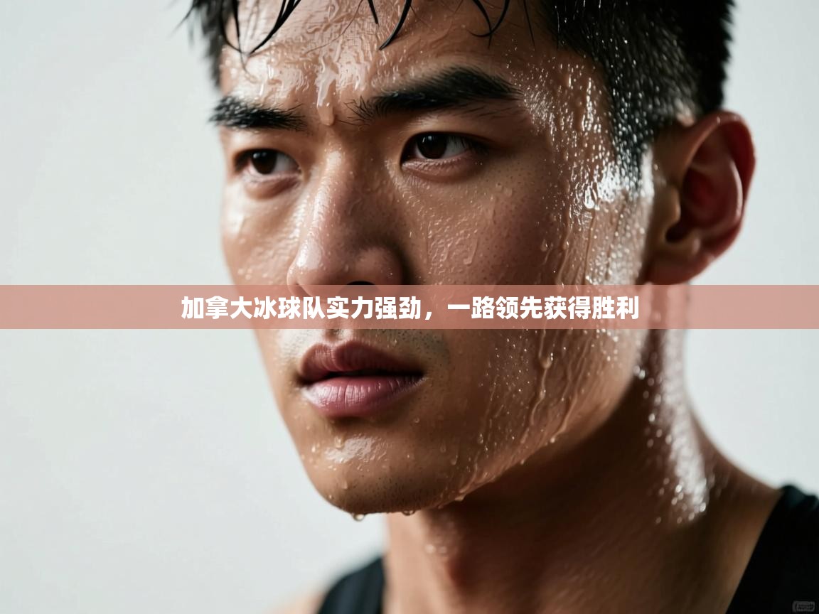 加拿大冰球队实力强劲，一路领先获得胜利  第2张