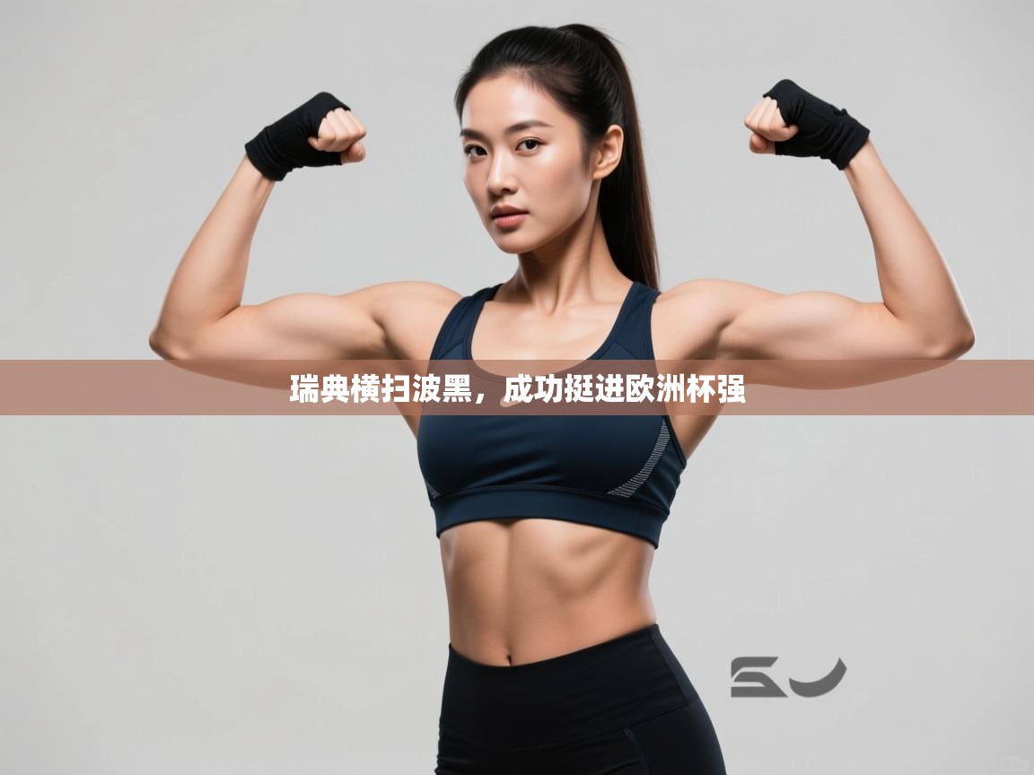 瑞典横扫波黑,成功挺进欧洲杯强 第2张