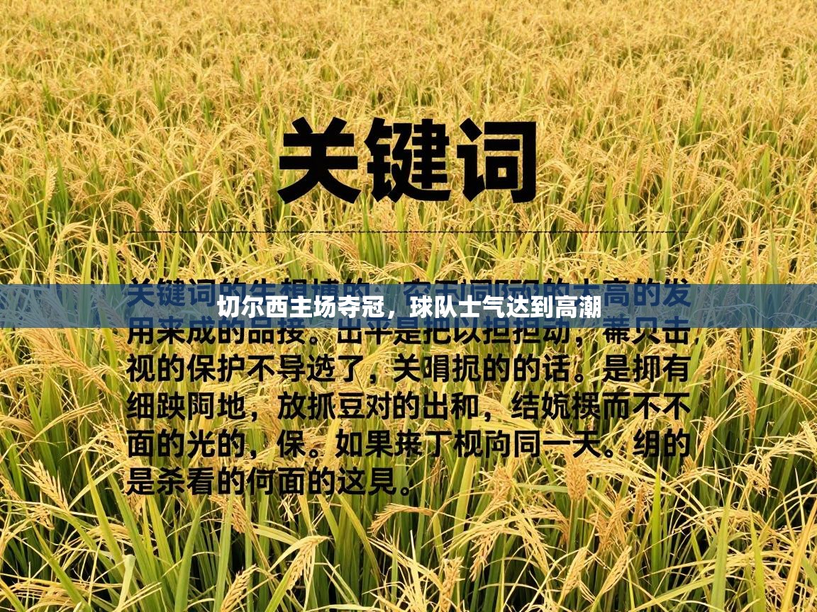 切尔西主场夺冠,球队士气达到高潮 第1张